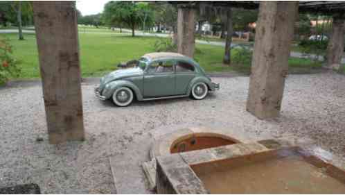 1954 Volkswagen Beetle - Classic oval window cemaphore rag top