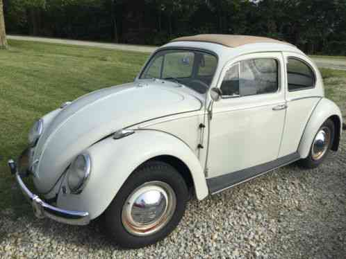 1961 Volkswagen Beetle - Classic