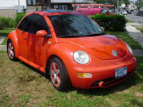 Volkswagen Beetle-New (2002)