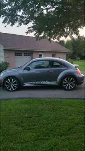 Volkswagen Beetle-New (2013)