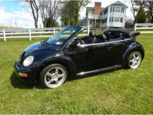 Volkswagen Beetle-New (2003)