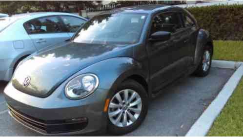 Volkswagen Beetle-New (2013)