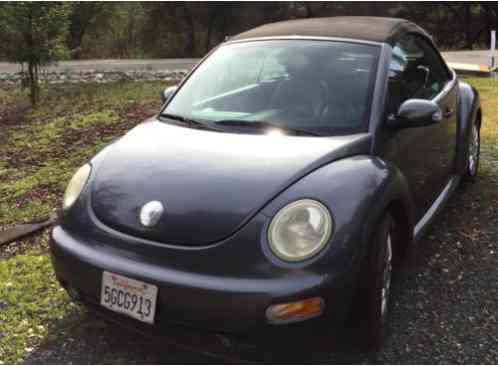 Volkswagen Beetle-New (2004)