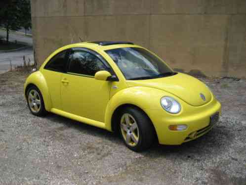 Volkswagen Beetle-New GLX (2002)