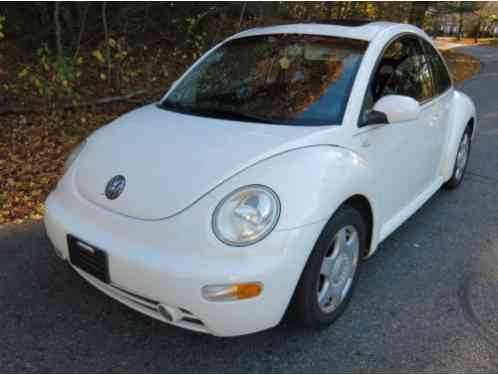 Volkswagen Beetle-New (2001)