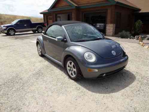 Volkswagen Beetle-New New Beetle (2004)