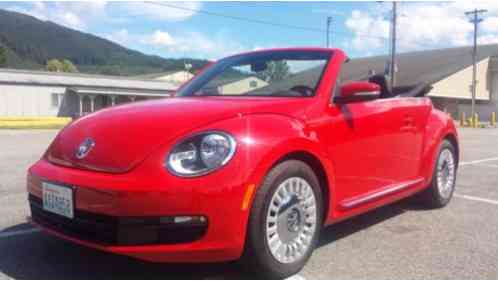 Volkswagen Beetle-New (2015)